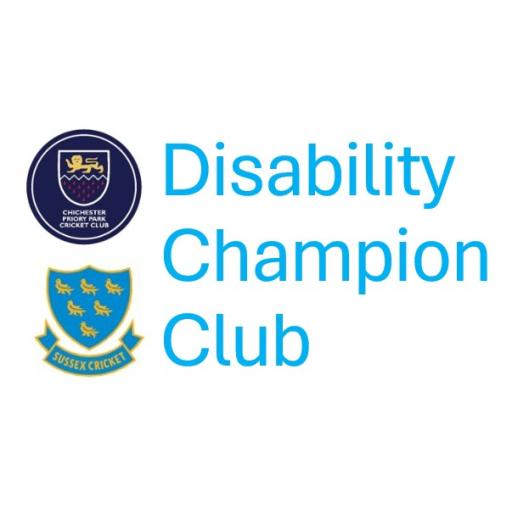 Disability Champion club image.jpg